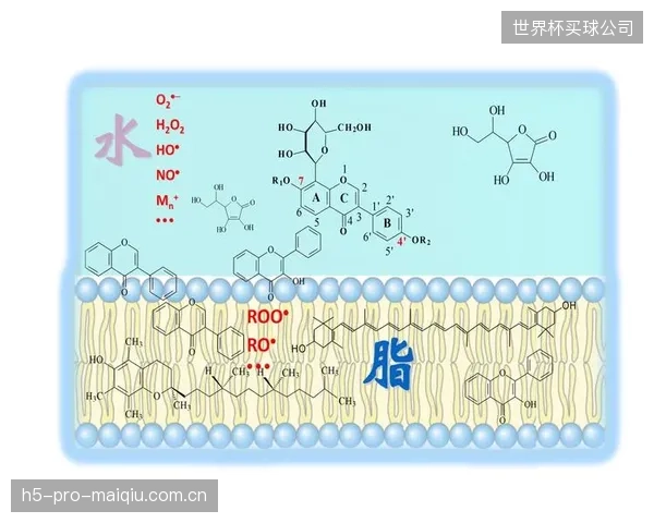 在缺乏统一剪切力测试标准的情况下,消费者如何辨别品牌宣称的“水动力学优势”是否真实? 在缺乏统一剪切力测试标准的情况下,消费者如何辨别品牌宣称的“水动力学优势”是否真实?