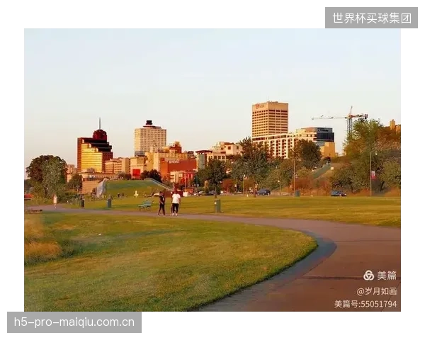 作为容量最大的场馆之一，达拉斯将成为淘汰赛阶段的焦点，对草坪维护和安保提出高要求。